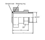 SAE σπείρωμα διατηρώντας φλάντζα δαχτυλιδιών